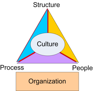 Organization_Triangle