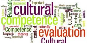 Cultural Competency Training